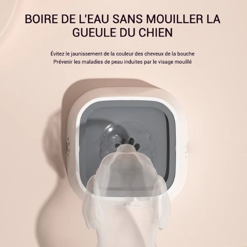Bol d’eau Anti-Éclaboussures CADOUET™ – Propreté garantie, même en déplacement !