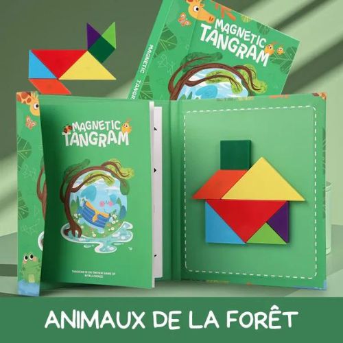 Tangram Magnetic (3 ans +)