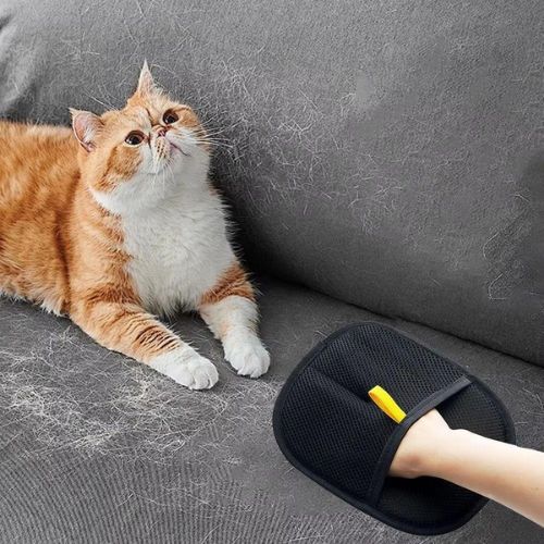 StopPoil™ — Gant Magique Anti-Poils d’Animaux