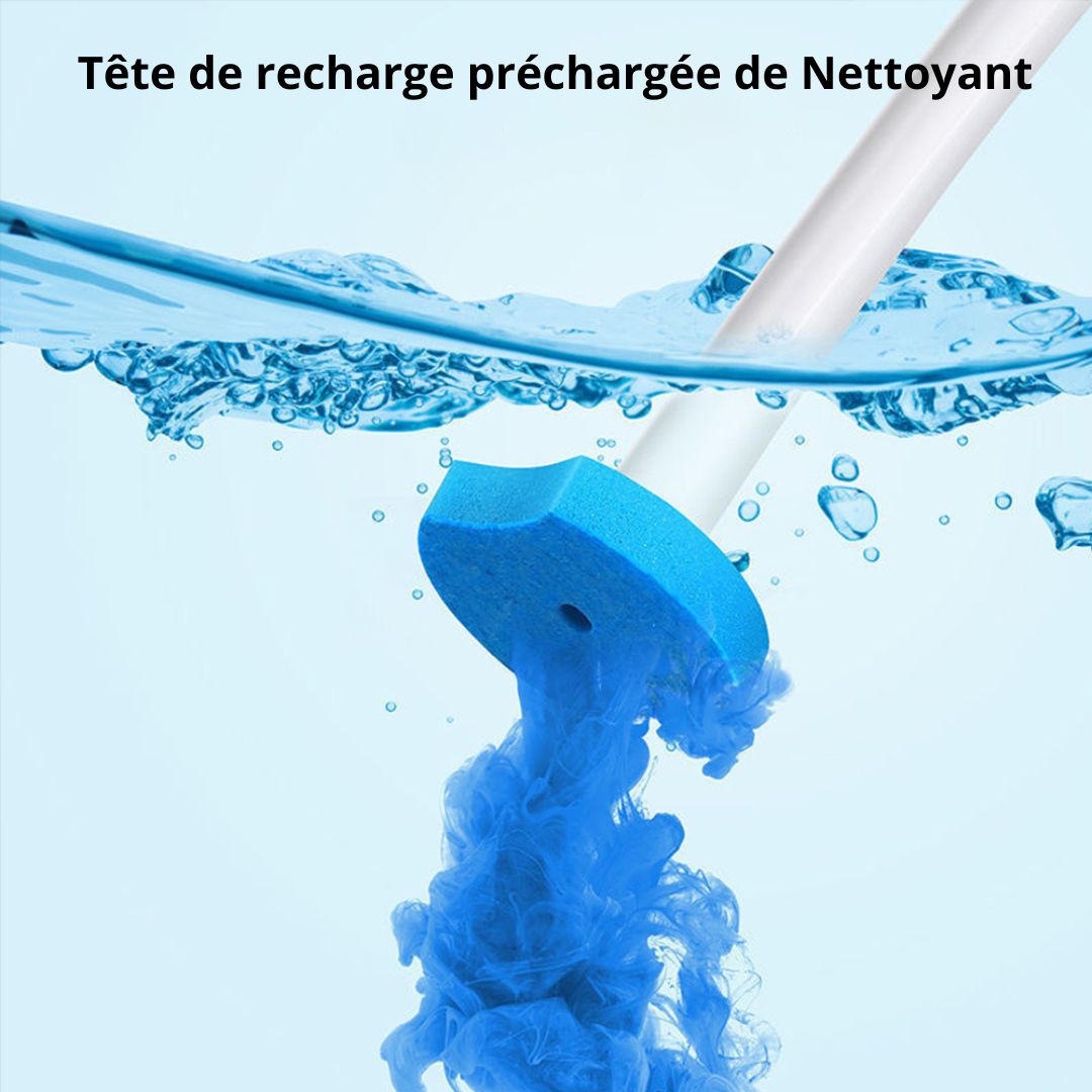 Système de nettoyage des toilettes à usage unique