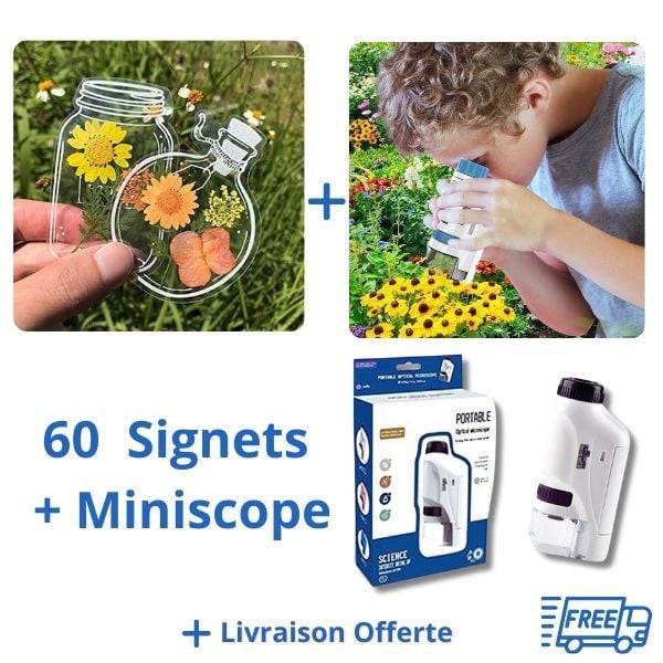 💐 SIGNETS MARQUE-PAGES FLEURS SÉCHÉES