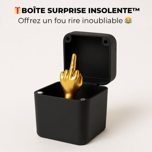🎁 Boîte Surprise Insolente™ – Offrez un fou rire inoubliable 😂
